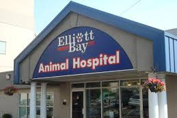 Elliott Bay Animal Hospital today
