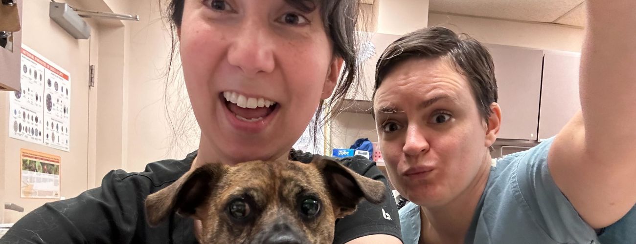 The Roots Snap Station — staff and pets together